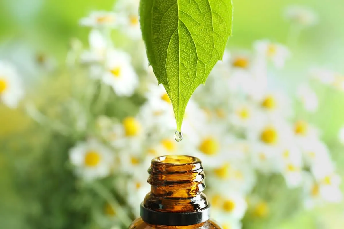 Aromaterapia